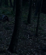 Filename=0934.jpg
Filesize=746KiB
Dimensions=1920x810
Date added=Jan 06, 2026 0934.jpg