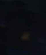 Filename=310.jpg
Filesize=190KiB
Dimensions=1927x1040
Date added=Jan 06, 2026 310.jpg