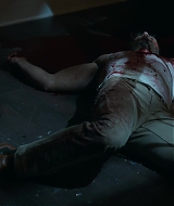 5030.jpg