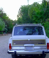 536.jpg