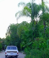 540.jpg