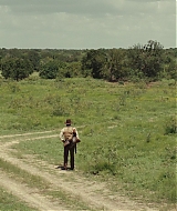 741.jpg