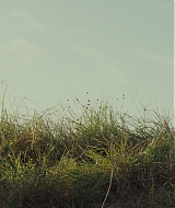 826.jpg