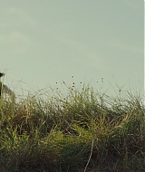 829.jpg