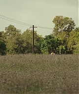 0004.jpg