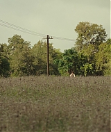 0005.jpg