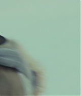 Filename=0397.jpg
Filesize=747KiB
Dimensions=2048x1024
Date added=Jan 08, 2026 0397.jpg